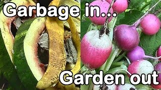 Garbage In, Garden Out: Improve Soil Fertility with "Garbage"