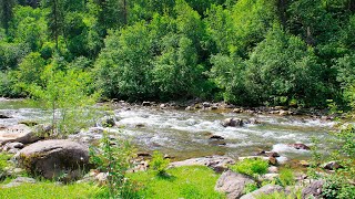 River Sounds & Water Noise for Sleep and Rest, Relax - 2 hours Nature Sounds