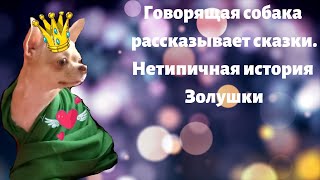 Макаркины сказки. Золушка. Говорящая собака блогер