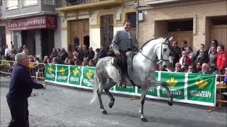 Catarroja San Antonio Abad bendición animales Iglesia San Antonio col lectiu cavallar 19 01 14