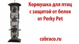 Кормушка для диких птиц с защитой от белок от Perky Pet - Squirrel Be Gone. Кобрако.ру