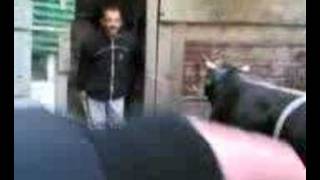 2007 Kurban Bayramı :-: Mahsur Kalan Dayım