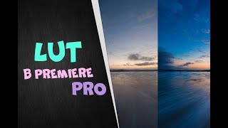 LUTS для Adobe Premiere Pro | Как использовать луты | Скачать луты под видео
