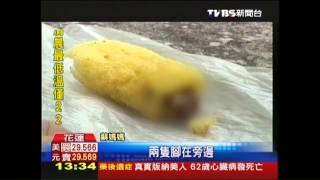 好噁心！玉米濃湯捲　驚見蟑螂夾心
