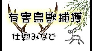 有害鳥獣捕獲　始める際の話
