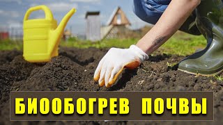 ТЕМА НА МИЛЛИОН! Если огурцы посадить в такую грядку, то с урожаем будете делиться со всеми соседями