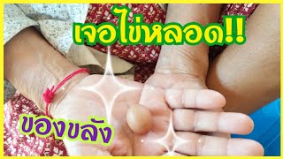 เครื่องรางของขลังโบราณล้านนา ไข่หลอด