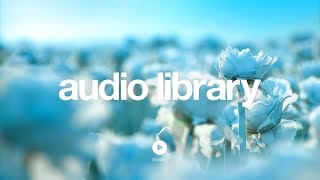 Lightness - Nomyn [Vlog No Copyright Music]