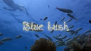 Freediving in Hurghada Egypt