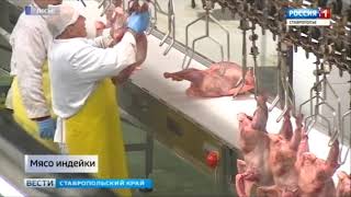 Инвестпроект по выращиванию индейки на Ставрополье получит поддержку