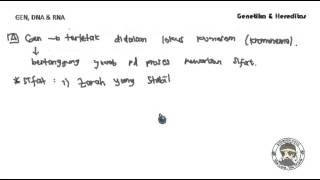Genetika 2 gen1