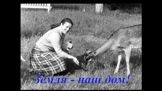 Валентина Толкунова Будет всё хорошо! Песенка для детей и их родителей!