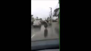 La desesperación de un perro abandonado por sus dueños