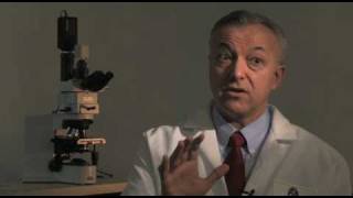 Dr. George Daley on the risks of taking shortcuts for treatments