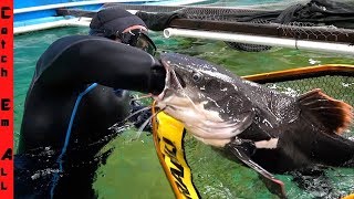 CATFISH SWALLOWS PVC PIPE! **My Arm Goes DEEP inside this FISH STOMACH to SAVE IT!**