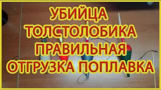 Снасть убийца толстолоба  Как правильно отгрузить поплавок
