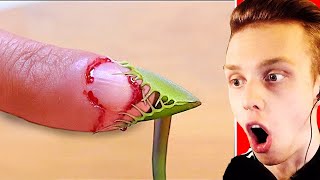 ЭКСПЕРИМЕНТ: Который НЕ НАДО Повторять! - МУХОЛОВКА vs. ВСЕГО на СВЕТЕ