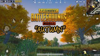Ada Musim Gugur di Map Erangle PUBG MOBILE (QUANTUM)