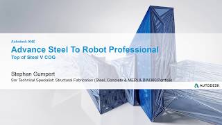 Advance Steel to Robot Professional