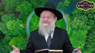 הרב יוסף בן פורת - מסילת ישרים שיעור 64 - הכל חרוט