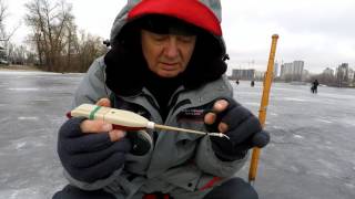 Электронная удочка. Преимущества и недостатки.
