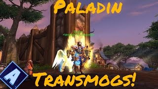 Paladin Transmogs | WoW RP Paladin Transmogs