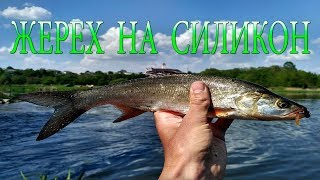 Ловля жереха на силикон на течении.Жереховый котел