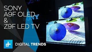 Sony A9F OLED and Z9F LED TV - Hands On