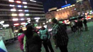 Kultaa kiekkoleijonille 2011