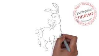 Шрек онлайн  Рисуем поэтапно шрека карандашом