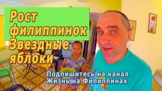Какой рост у филиппинок - Отдых и жизнь на Филиппинах
