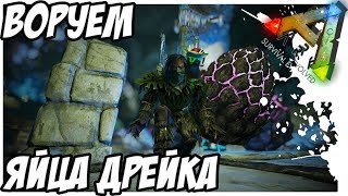 ARK  Survival Evolved - КАК ДОБЫТЬ ЯЙЦА ДРЕЙКА! МЯСО! 18+! ROCK DRAKE EGGS!