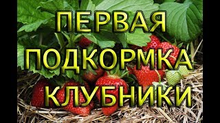 Первая подкормка КЛУБНИКИ весной. Корневая подкормка. Удобрение по листу