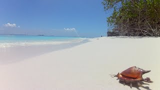 Обзор острова отеля Malahini Kuda Bandos Maldives за 12 минут