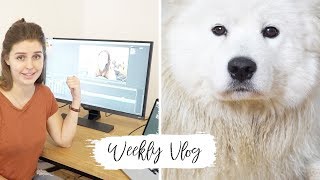 Weekly Vlog #24 - Wie entstehen meine Videos? Sushi und Sammys Bart | Lovethecosmetics