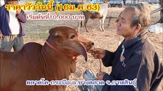 ราคาวัววันนี้ (16ม.ค.63)วัวเนื้อราคาเริ่มต้นที่10,000 บาท ตลาดตลาดโคกระบือ อ.ยางตลาด จ.กาฬสินธุ์