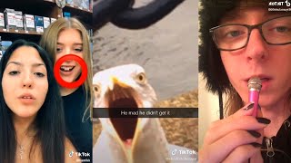 TikTok Memes that are basically 2020 Vines ?