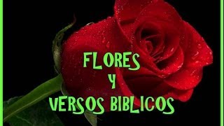 FLORES Y VERSOS BIBLICOS