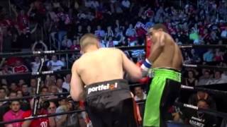 Tomasz Adamek vs Eddie Chambers  [Full Fight]
