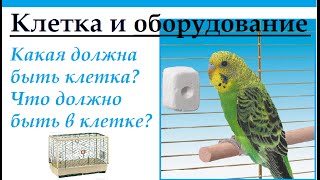 Какая должна быть клетка у птицы. Что должно быть в клетке.