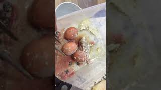 Una dieta variada!