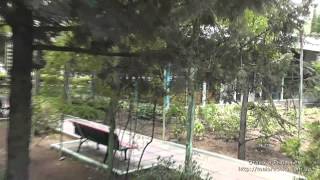 Зеленая зона в поселке Рыбачье