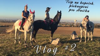 Vlog #2 // Trip na kopeček, překvapení pro Aničku