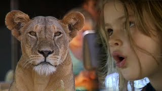Children Watch Lion Kill Zebra | This Wild Life | BBC Earth