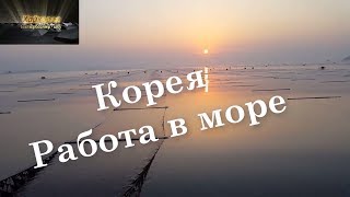 Работа в Корее на море