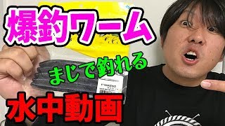 ワーム アクション！水中映像！！釣り初心者必見 動かし方！バス仕掛け ゲイリーヤマモト gary yamamoto ヤマセンコー