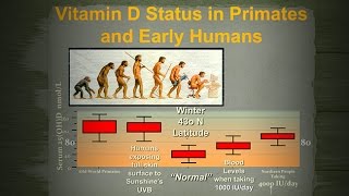 Results of a Prostate Cancer/Vitamin D Trial: Effectiveness Safety Recommendations