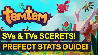 SVs & TVs EXPLAINED! Prefect Stats Guides & Tips | TemTem Pokemon!