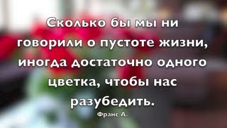 Мудрые фразы о жизни + красивые фото от фотографа + релакс музыка