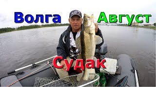 Рыбалка на Волге . Ловлю судака .